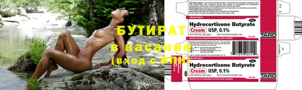 твердый Бородино