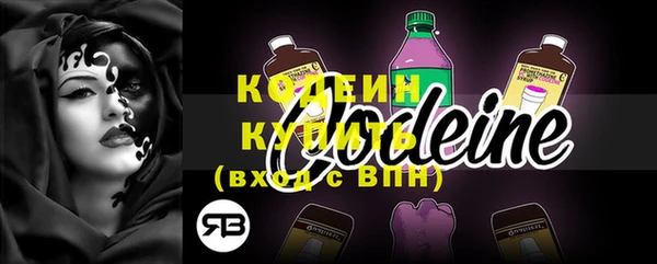 твердый Бородино