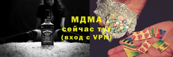 твердый Бородино