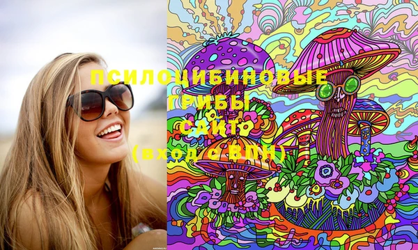твердый Бородино