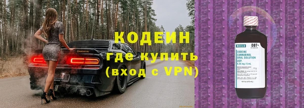 твердый Бородино
