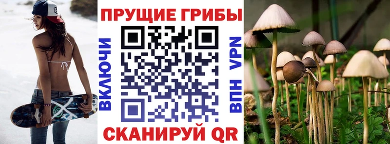 Псилоцибиновые грибы Psilocybe  купить наркоту  Якутск 